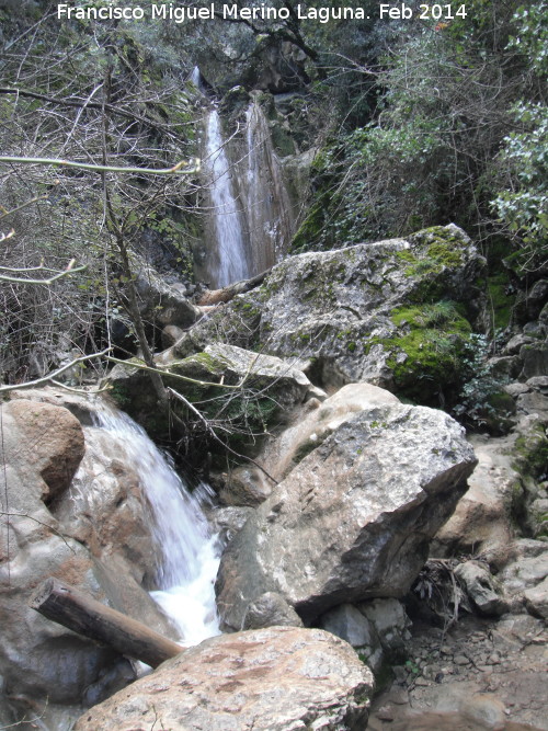 Cascada del Arroyo de la Cueva - Cascada del Arroyo de la Cueva. 