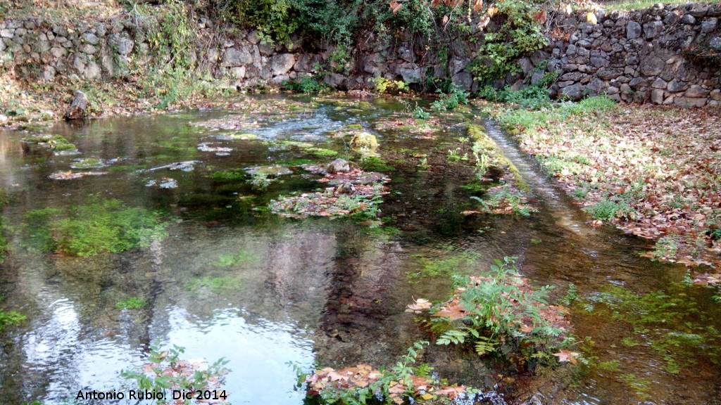 Nacimiento del Ro Oviedo - Nacimiento del Ro Oviedo. 