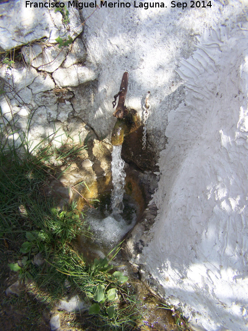 Fuente del Realejo - Fuente del Realejo. Cao