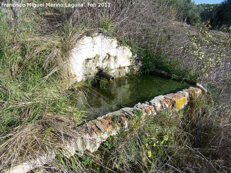 Fuente del Planto de Abajo - Fuente del Planto de Abajo. 