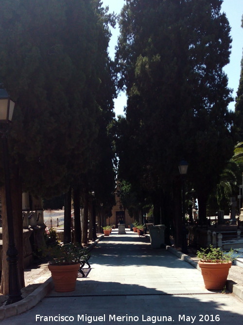 Cementerio de San Jos - Cementerio de San Jos. 