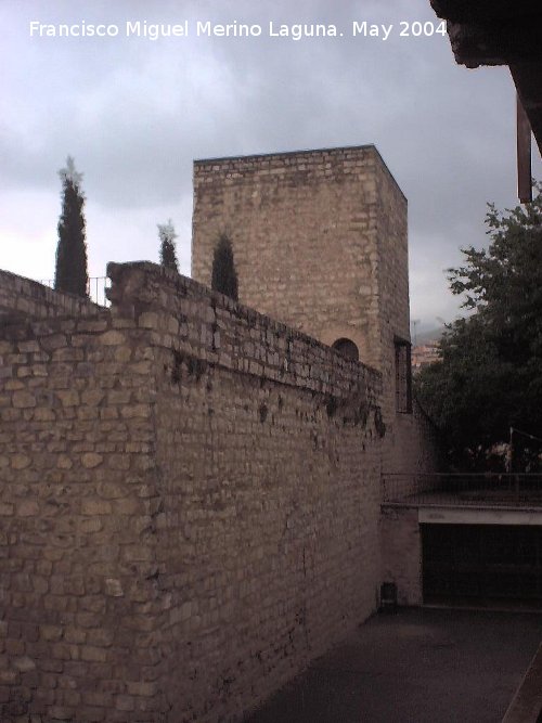 Muralla de Jan. Torren del Conde de Torralba - Muralla de Jan. Torren del Conde de Torralba. 