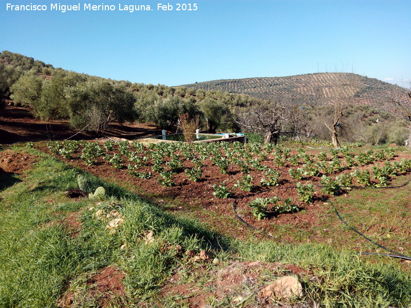 Huerta de Las Monjas - Huerta de Las Monjas. 