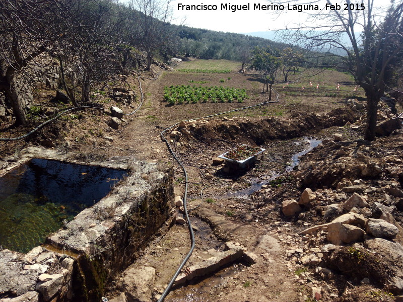 Huerta de El Cabo - Huerta de El Cabo. 