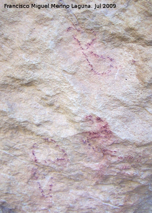 Pinturas rupestres de la Llana I - Pinturas rupestres de la Llana I. Smbolos