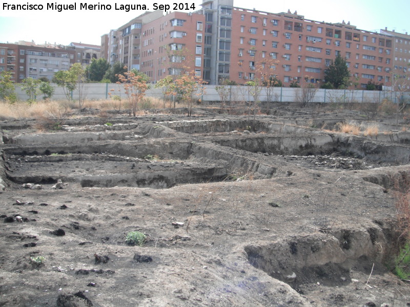 Marroques Bajos. Yacimiento de la Ciudad de la Justicia - Marroques Bajos. Yacimiento de la Ciudad de la Justicia. 