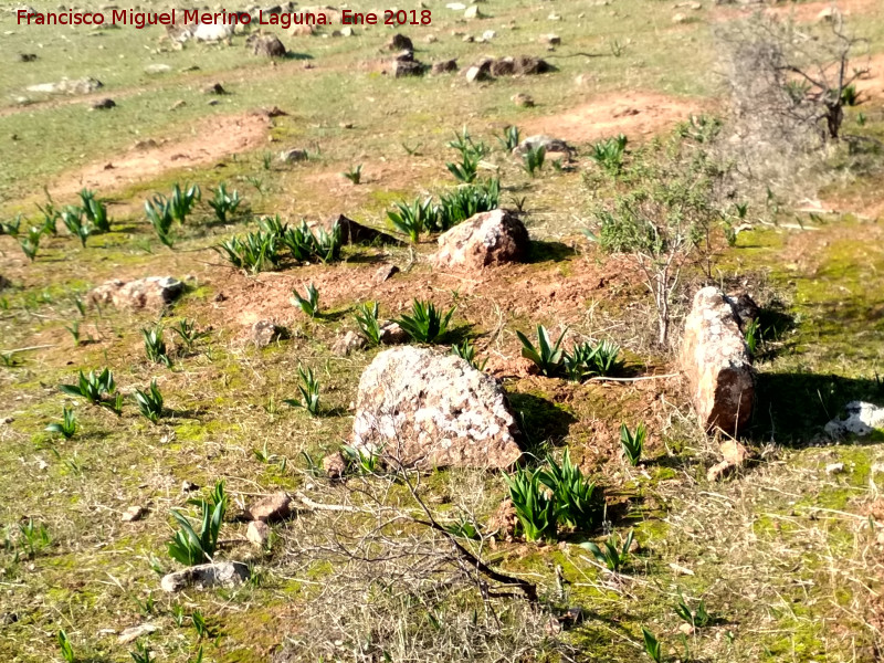 Necrpolis dolmnica del Guadaln - Necrpolis dolmnica del Guadaln. Dolmen?