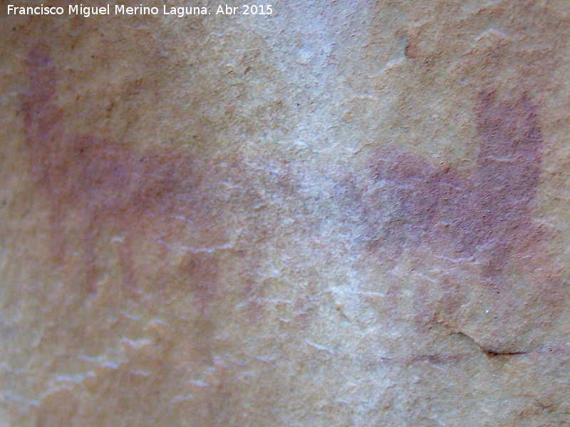 Pinturas rupestres de las Vacas del Retamoso XII Grupo I - Pinturas rupestres de las Vacas del Retamoso XII Grupo I. Pectiniforme