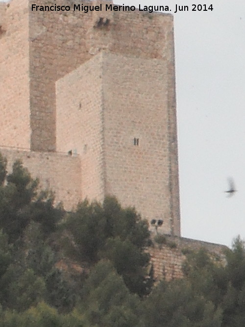 Castillo Nuevo de Santa Catalina. Torre de las Damas - Castillo Nuevo de Santa Catalina. Torre de las Damas. 