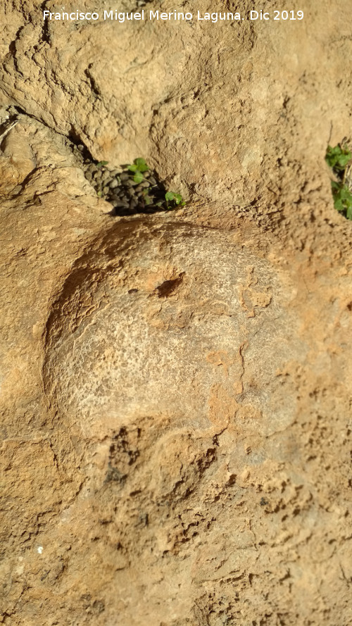 Pinturas rupestres del Abrigo de los Ca�ones IV - Pinturas rupestres del Abrigo de los Ca�ones IV. Una de las cazoletas menores