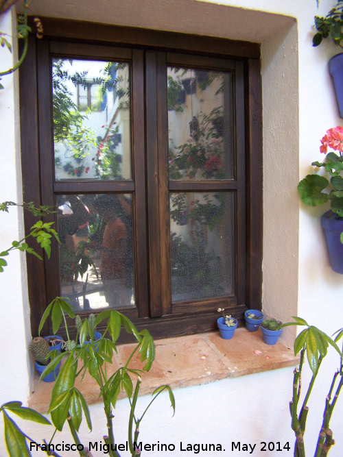 Casa de la Calle Don Rodrigo n 7 - Casa de la Calle Don Rodrigo n 7. Ventana con macetas minsculas