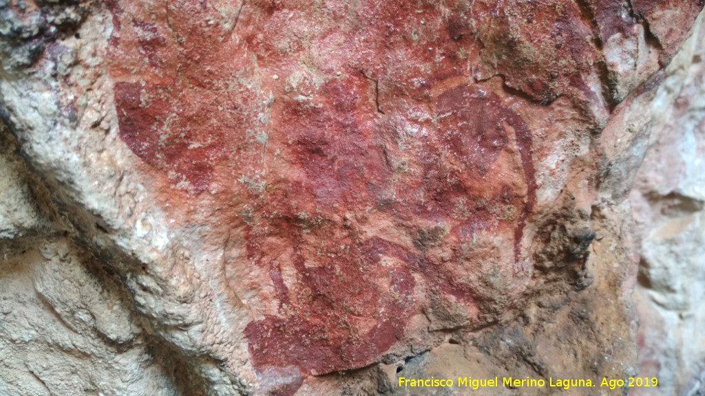 Pinturas rupestres de la Cueva de Ro Fro - Pinturas rupestres de la Cueva de Ro Fro. Detalle de los bvidos