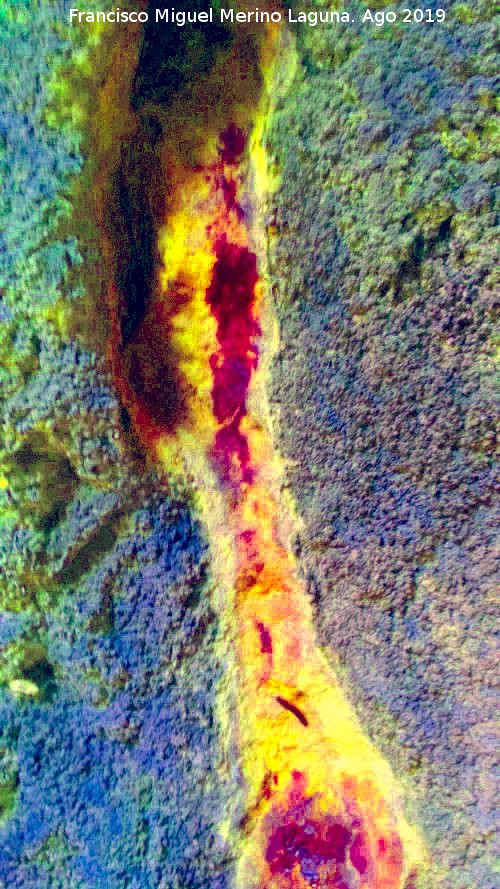 Pinturas rupestres de la Cueva de Ro Fro - Pinturas rupestres de la Cueva de Ro Fro. Tratada con Dstretch
