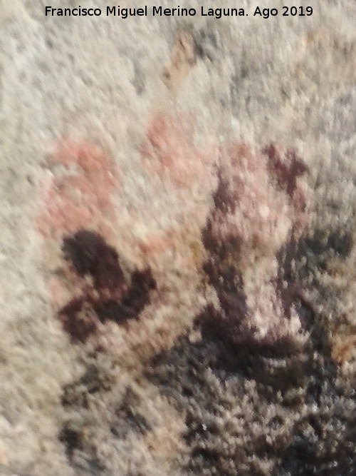 Pinturas rupestres de la Cueva de Ro Fro - Pinturas rupestres de la Cueva de Ro Fro. 