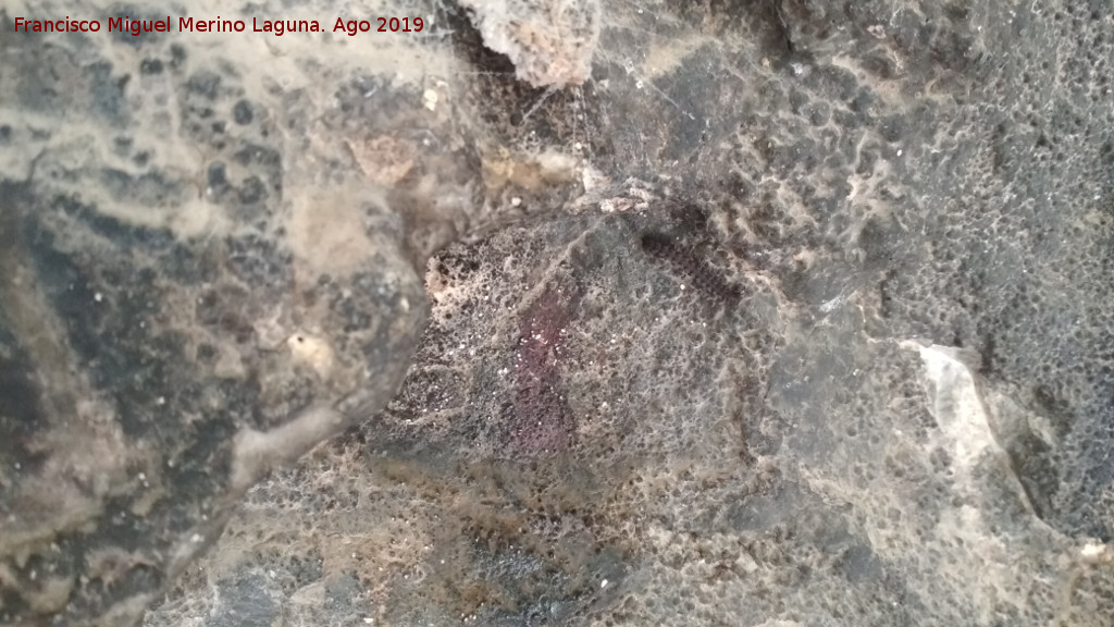 Pinturas rupestres de la Cueva de Ro Fro - Pinturas rupestres de la Cueva de Ro Fro. 