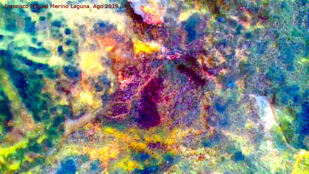 Pinturas rupestres de la Cueva de Ro Fro - Pinturas rupestres de la Cueva de Ro Fro. Tratada con Dstretch