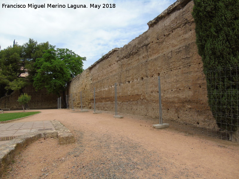 Muralla del Marrubial - Muralla del Marrubial. Unin con la Muralla de la Calle Fernando de Lara