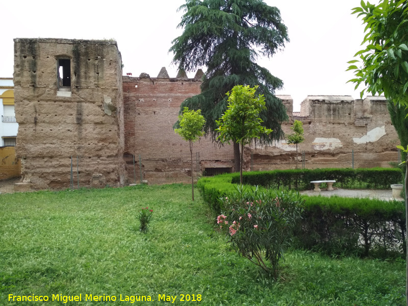 Muralla de la Calle Fernando de Lara - Muralla de la Calle Fernando de Lara. Torren y muralla