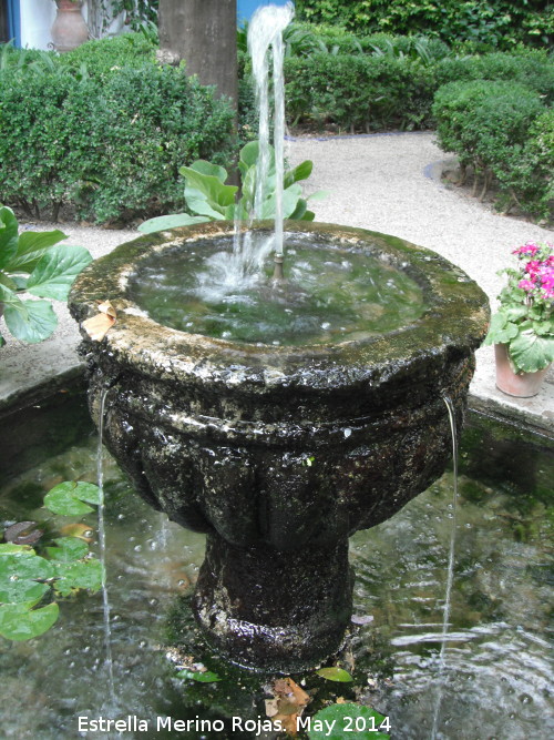 Palacio de Viana. Patio de los Naranjos - Palacio de Viana. Patio de los Naranjos. Fuente