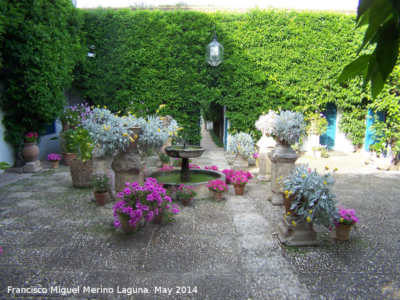 Palacio de Viana. Patio de las Rejas - Palacio de Viana. Patio de las Rejas. 