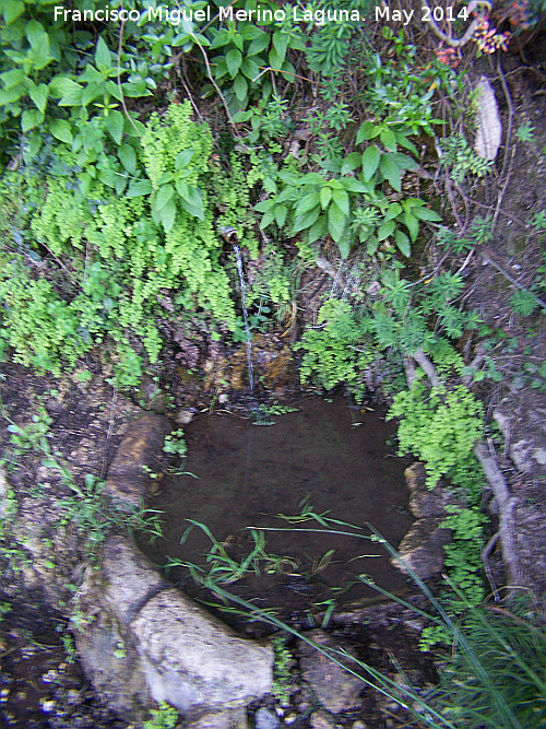 Fuente de los Ballesteros - Fuente de los Ballesteros. 