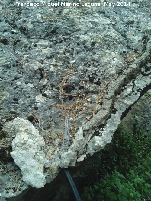 Cueva del Yedrn - Cueva del Yedrn. Canalizacin