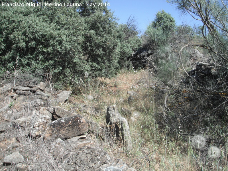 Camino de las Atalayuelas - Camino de las Atalayuelas. Rotura de uno de los muros de delimitacin