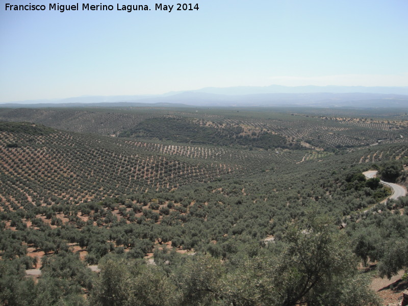 Camino de las Atalayuelas - Camino de las Atalayuelas. Vistas