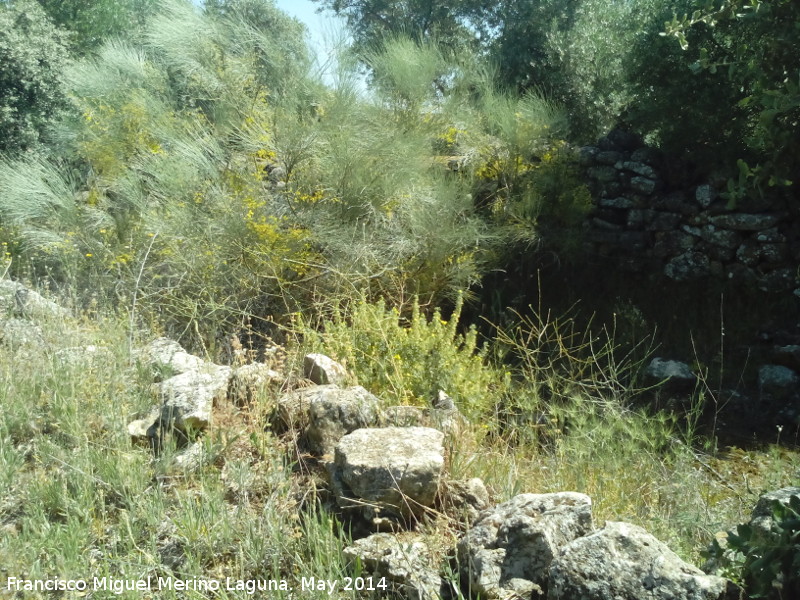 Camino de las Atalayuelas - Camino de las Atalayuelas. 