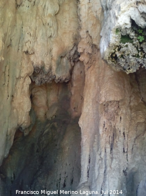 Cuevas del Picn - Cuevas del Picn. 