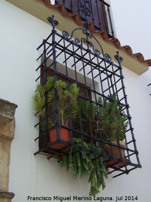 Casa de la Calle Padre Leal - Casa de la Calle Padre Leal. Reja de rosetas y forja