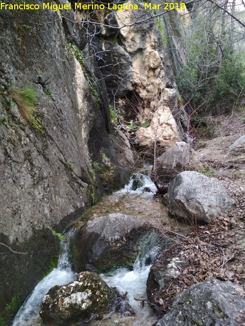 Fuente de la Pea - Fuente de la Pea. Nacimiento principal