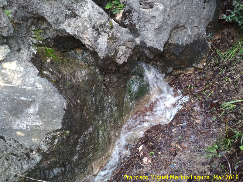 Fuente de la Pea - Fuente de la Pea. Nacimiento principal