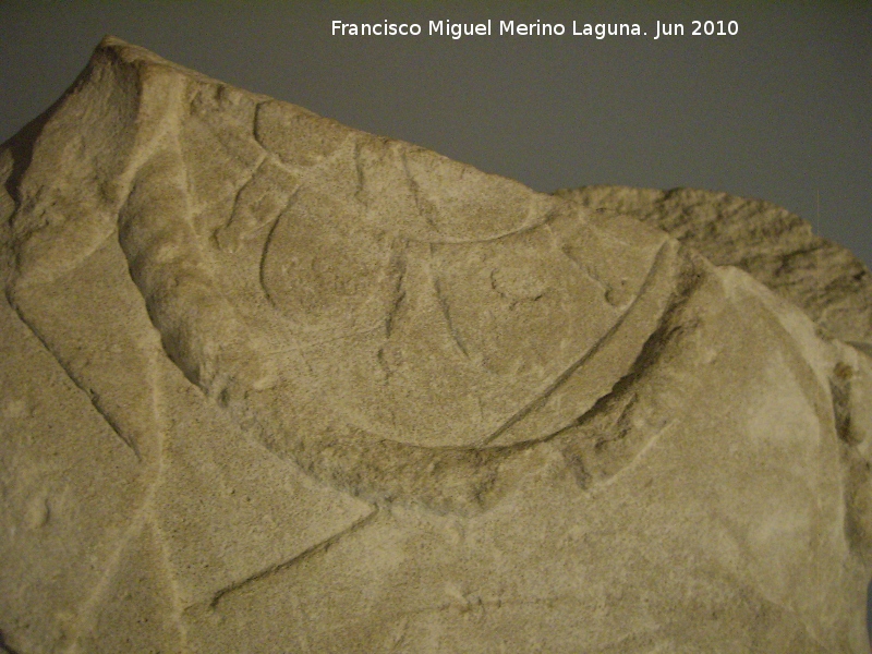 Cerro Alcal - Cerro Alcal. Dama de Torres. En caliza. Restos de rojo en la espalda. Con tres collares. Museo Arqueolgico Provincial de Jan