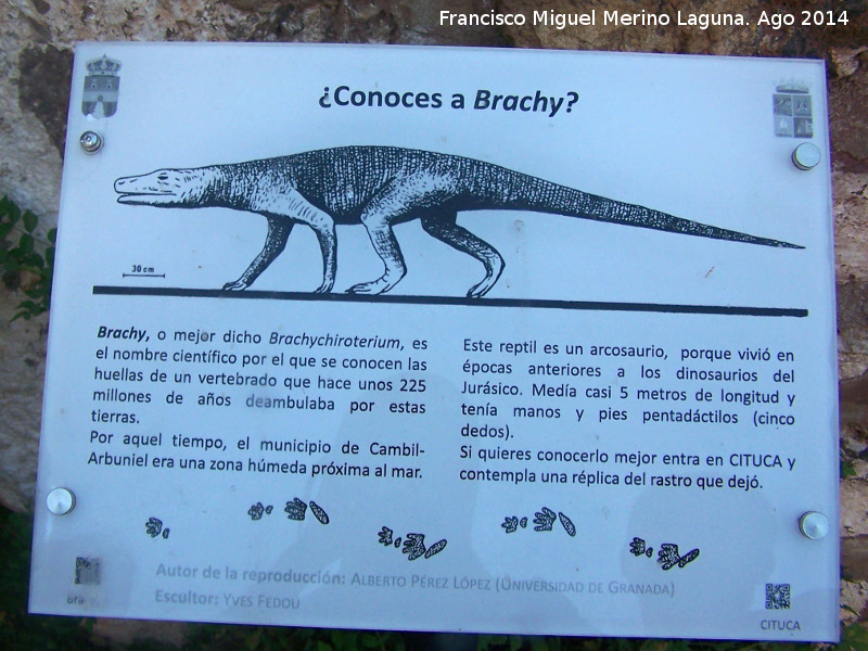 Monumento a Brachy - Monumento a Brachy. Placa