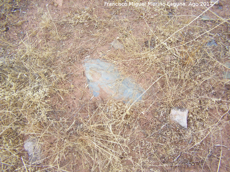 Necr�polis del la Sierra Realona - Necr�polis del la Sierra Realona. Tumba