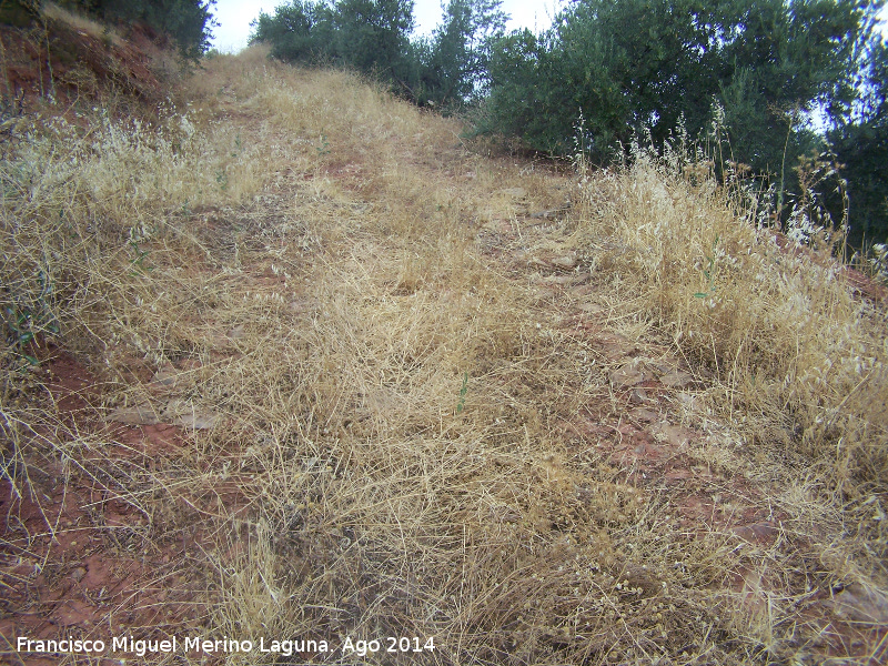 Necr�polis del la Sierra Realona - Necr�polis del la Sierra Realona. Antiguo camino