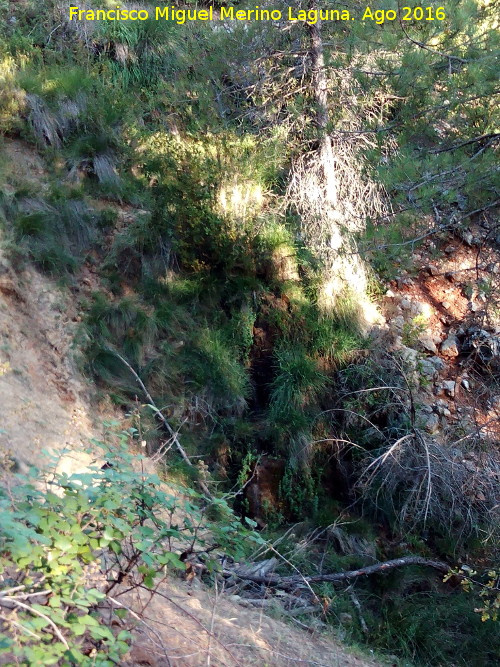 Sendero Collado del Pocico - Molino de la Parra - Sendero Collado del Pocico - Molino de la Parra. Arroyo