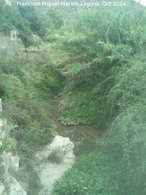 Arroyo de Pedro Juan - Arroyo de Pedro Juan. 