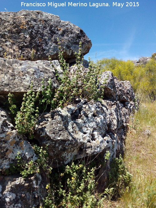 Oppidum de Giribaile. Muralla Ciclpea - Oppidum de Giribaile. Muralla Ciclpea. 