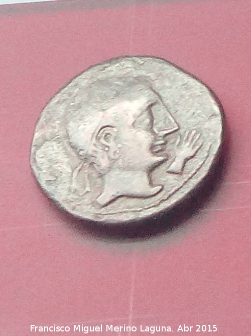 Cstulo - Cstulo. Moneda minera con la mano de la minera. Museo Provincial de Jan