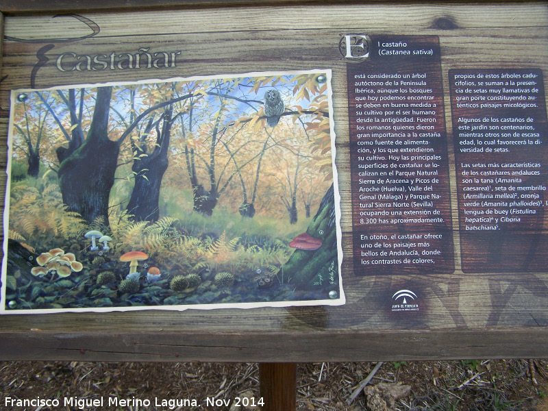 Jardn Micolgico La Trufa - Jardn Micolgico La Trufa. Cartel