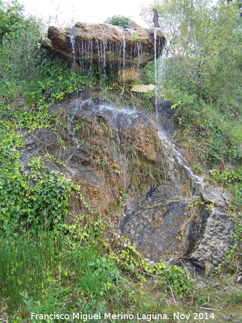 Jardn Micolgico La Trufa - Jardn Micolgico La Trufa. Cascada