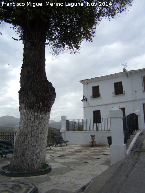 Plaza de Zagrilla Baja - Plaza de Zagrilla Baja. 