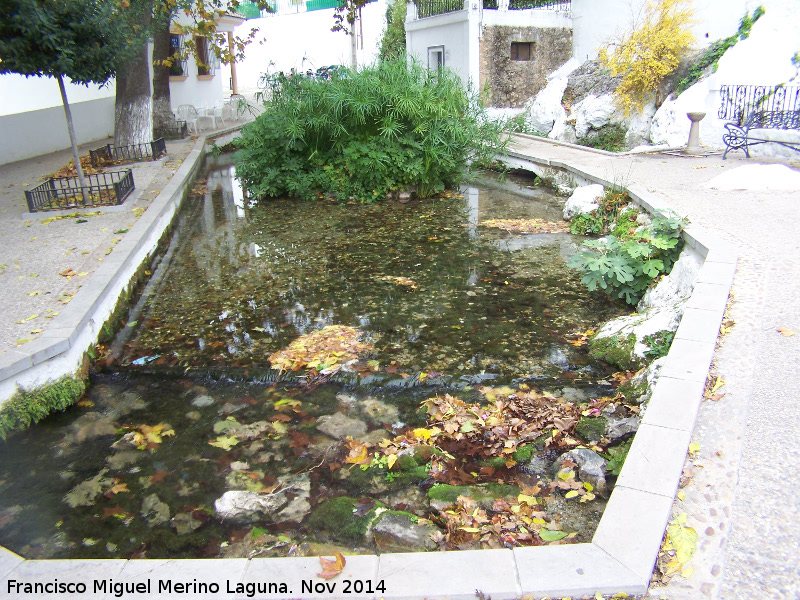 Manantial Zagrilla - Manantial Zagrilla. 