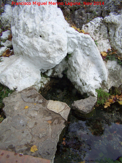 Manantial Zagrilla - Manantial Zagrilla. Nacimiento