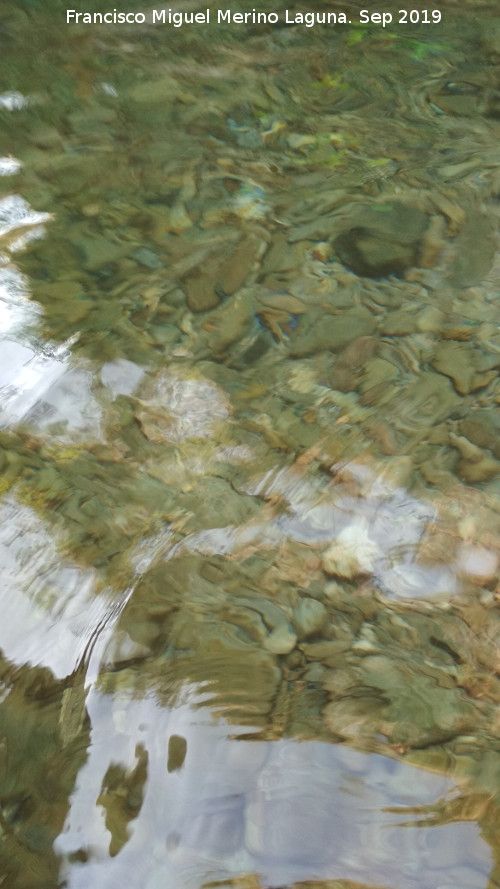 Ro Fro - Ro Fro. Transparencia de sus aguas