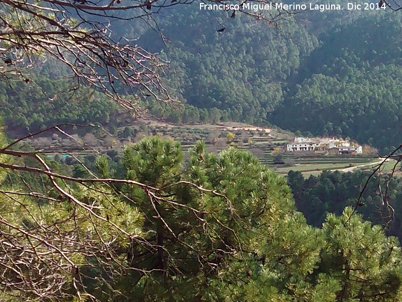 Bancales de Linarejos - Bancales de Linarejos. 