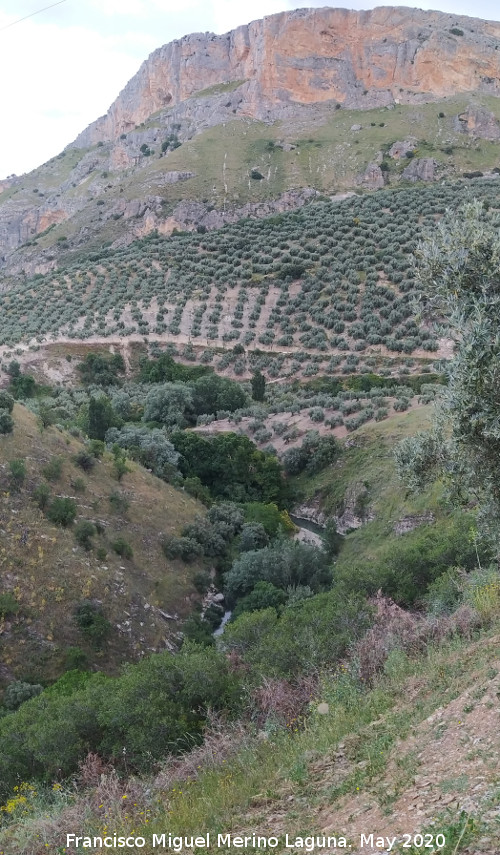 Cerro La Veleta - Cerro La Veleta. Desde la ladera de enfrente del Cerro Toledo - Los Villares