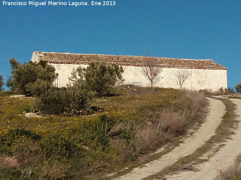 Cortijo de la Salina - Cortijo de la Salina. 